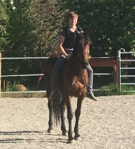 Horsemanshipbilder