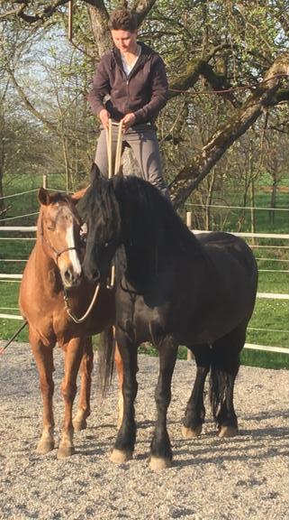 Landhaus-Hellerwiesen-Horsemanship-Kopie