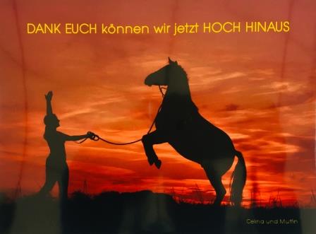 Horsemanship-Retreat-1