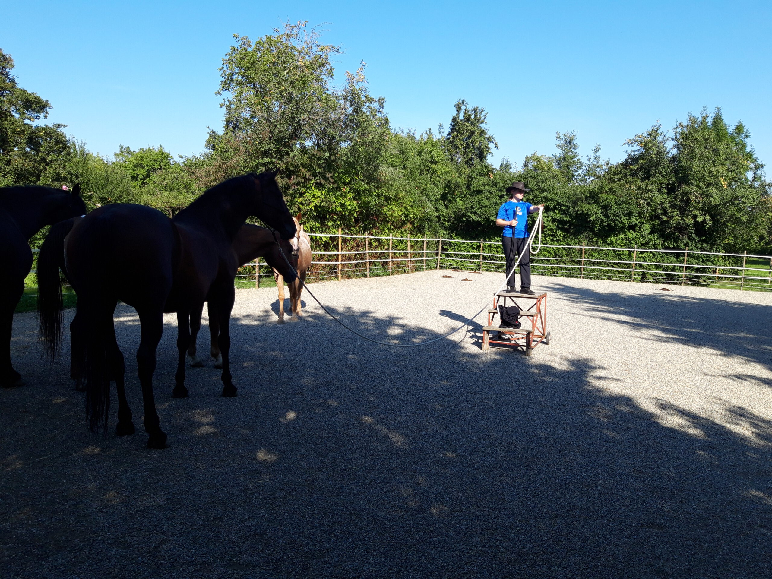 Horsemanshipcollege-Horsemanship-Happy-End-1