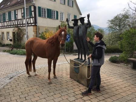 Horsemanshipcollege-Horsemanship-Schnupperkurs-Online-4