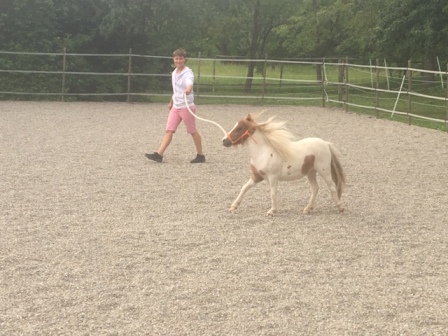 Horsemanshipcollege-Kinder-Horsemanship-9